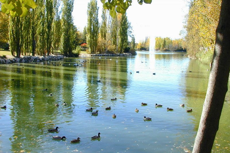 Parque Natural El Soto, Móstoles