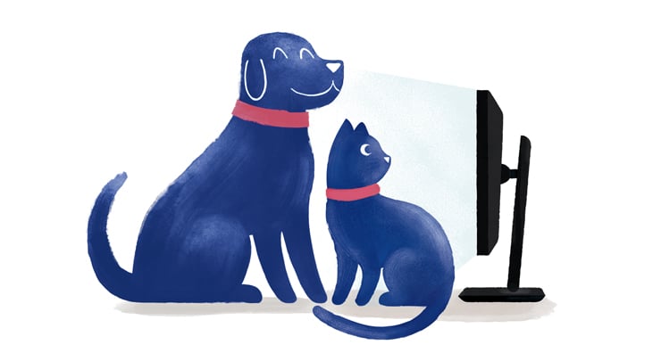 Medivet Clínica Veterinaria Dermatológica Skinpet Móstoles
