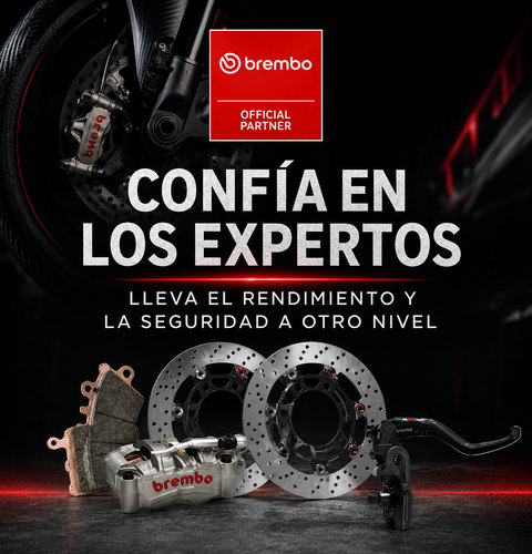 Reynasa
