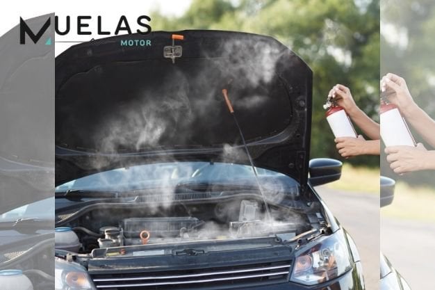 Muelas Motor – Citroën
