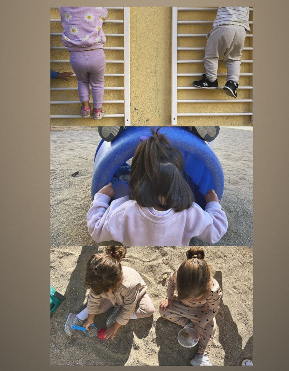 Escuela Infantil El Pequeño Sauce