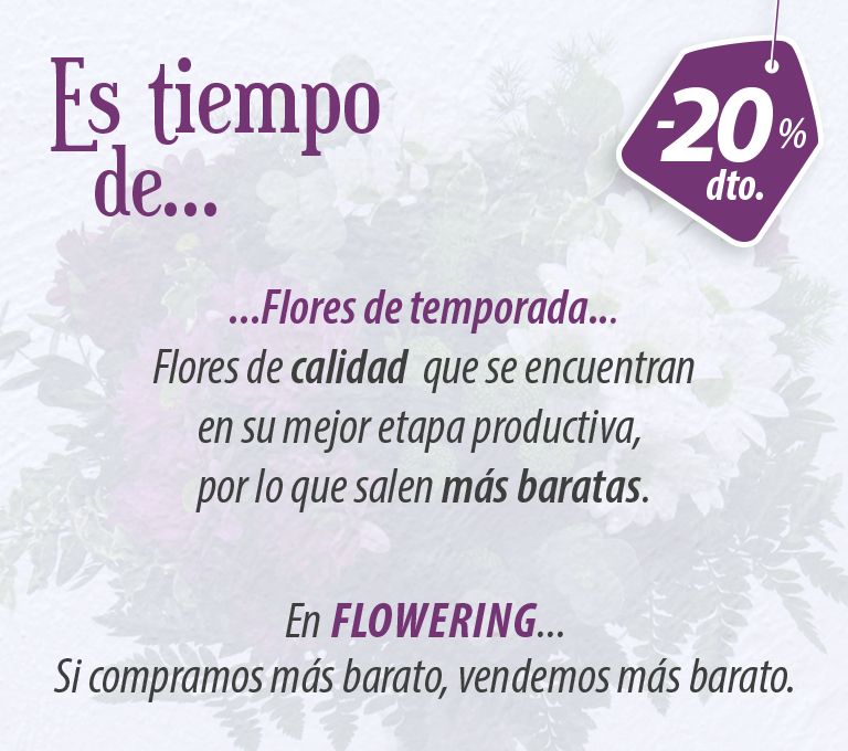 Floristería FLOWERING enviar flores a domicilio a Móstoles
