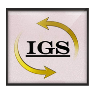 Info Gest Sur Gestión S.L Gestoría y Asesoría