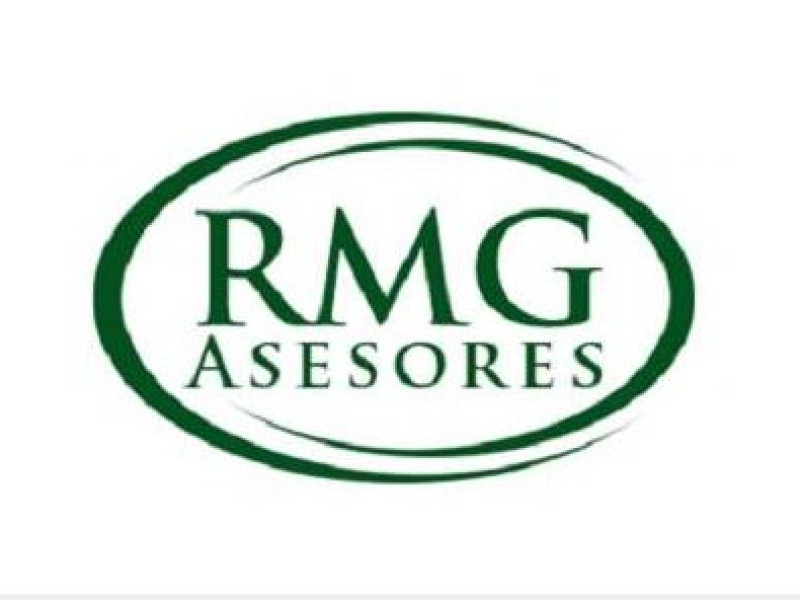 RMG Asesores
