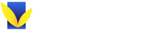 Asesoria Villasol