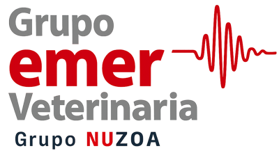 Grupo Emer